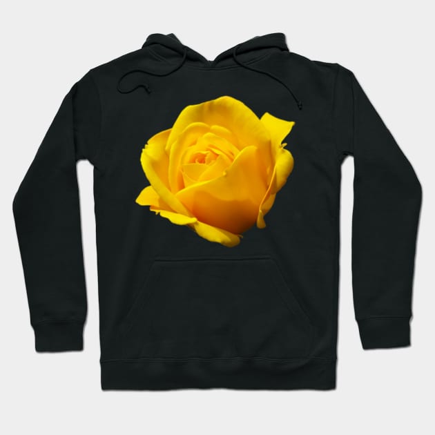 Yellow Rose of Texas Pattern Apparel Decor Fashion Hoodie by BubbleMench